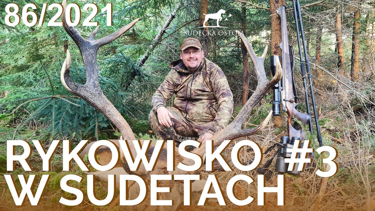 SUDECKA OSTOJA 86/2021. Deer Hunting. Rykowisko polowanie na jelenie. Wild jagen. Chasse au cerf
