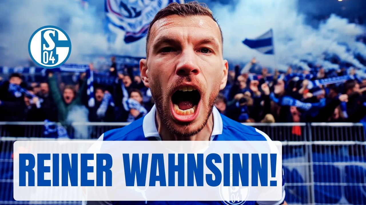 WAHNSINN AUF SCHALKE: DZEKO STÜRMT DIE NORDKURVE NACH TOR-SPEKTAKEL!