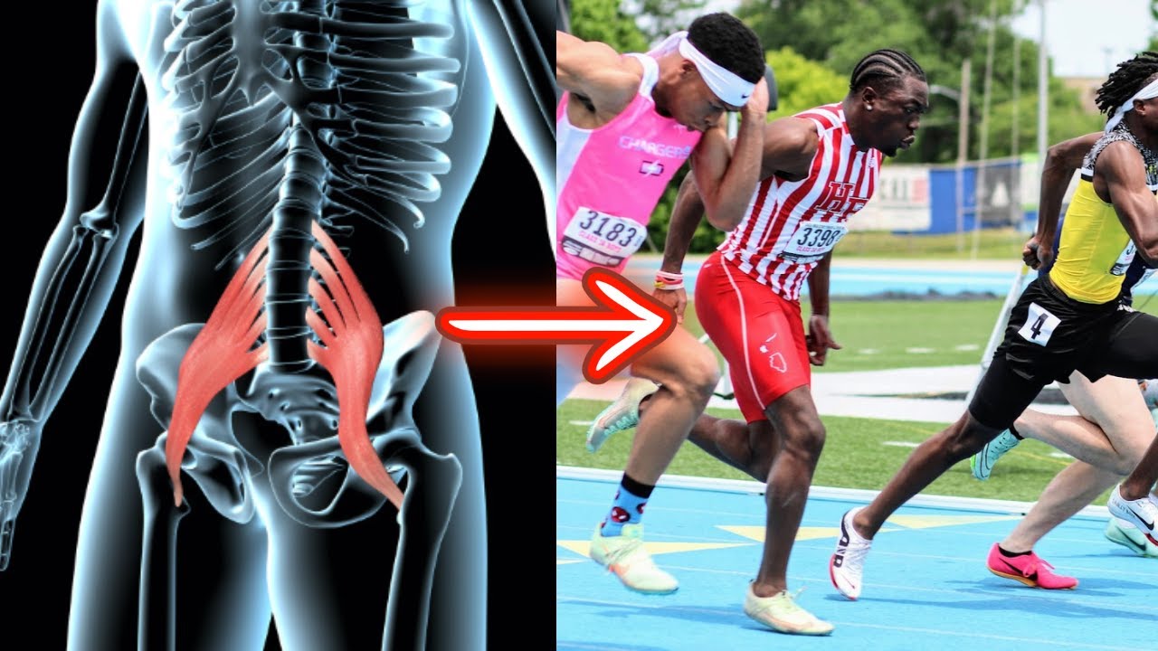 How the Psoas Muscle Impacts Speed & Athleticism