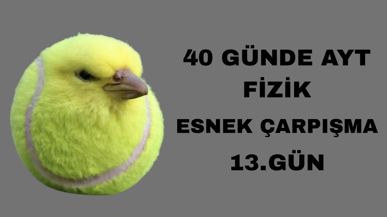 ESNEK ÇARPIŞMA | İTME VE MOMENTUM | 40 GÜNDE AYT FİZİK 