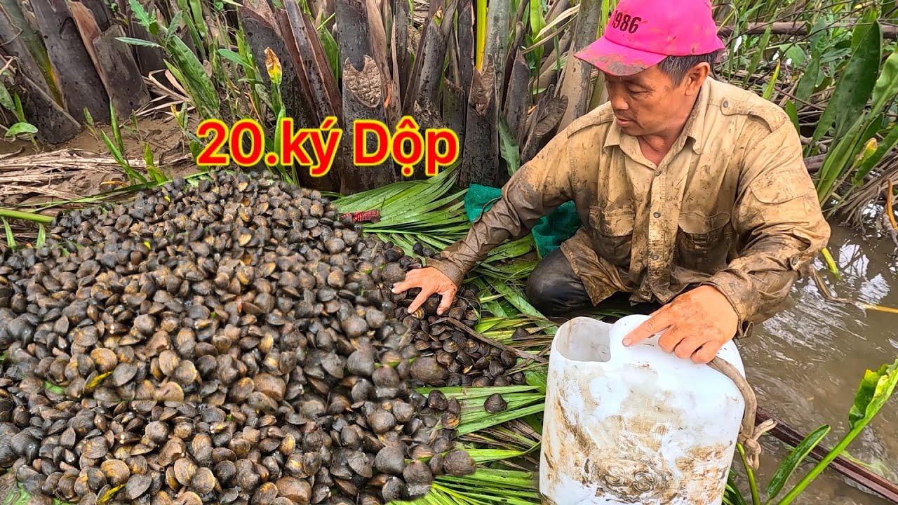 KHU NÀY RẤT NHIỀU DỘP BẮT VÁC VỀ KHÔNG HẾT NỔI