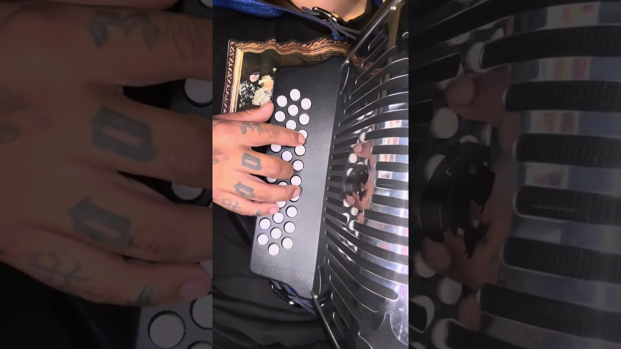 PERFECTA - LOS ALAMEÑOS  Acordeón de fa 🔥🥴