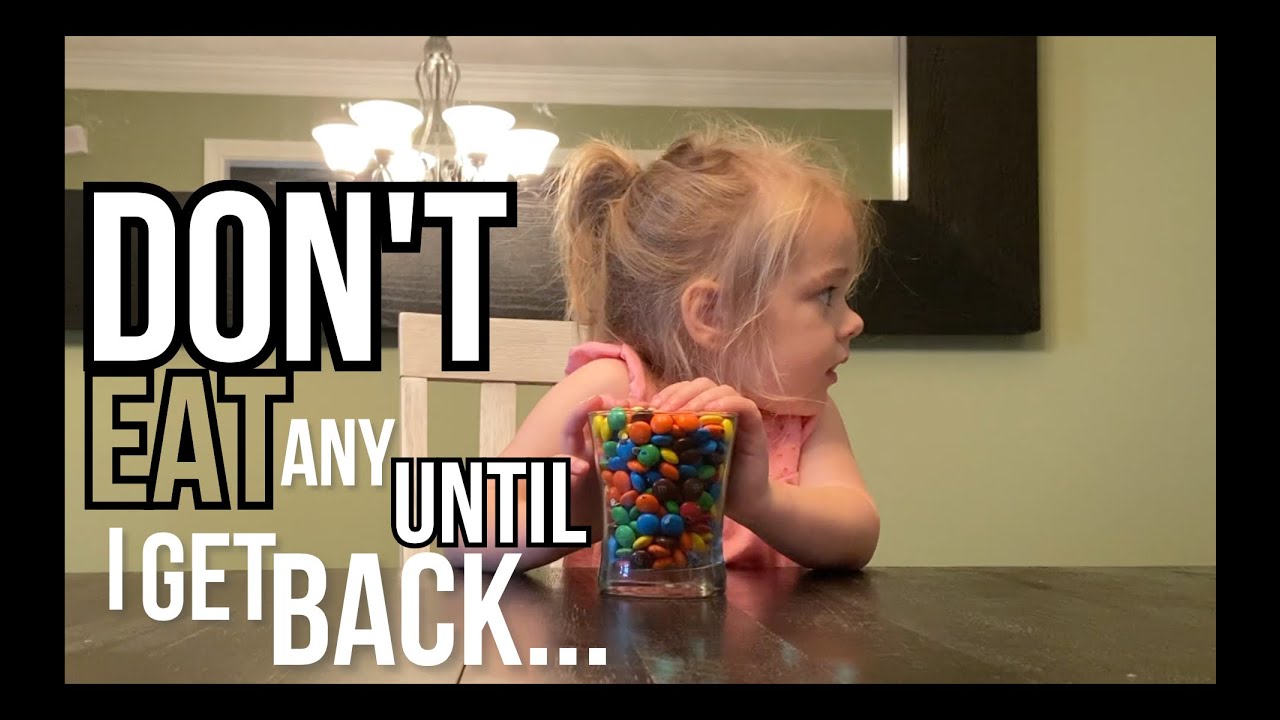 Kid's Candy Challenge - Testing My Toddler's Patience with a Bowl of Candy as I Leave the Room