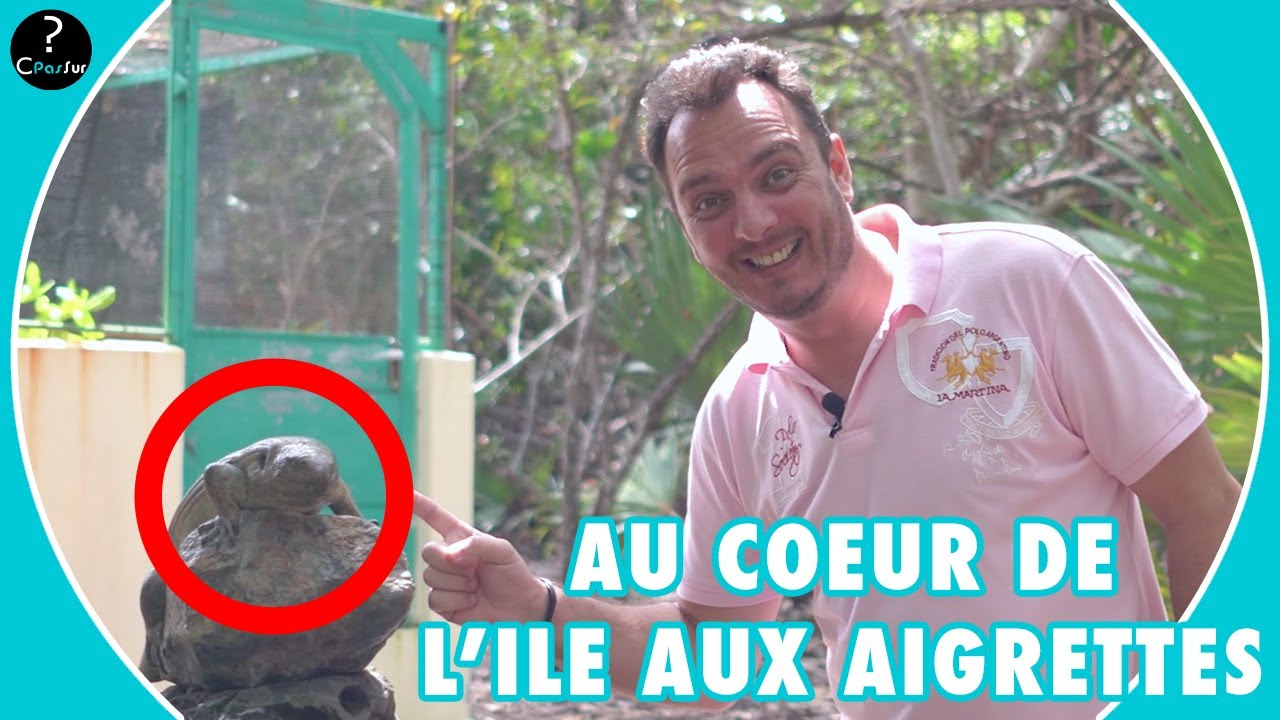 AU COEUR DE L'ILE AUX AIGRETTES | CFAMILYWARRIOR | CPASSUR | MAURITIAN WILDLIFE FOUNDATION