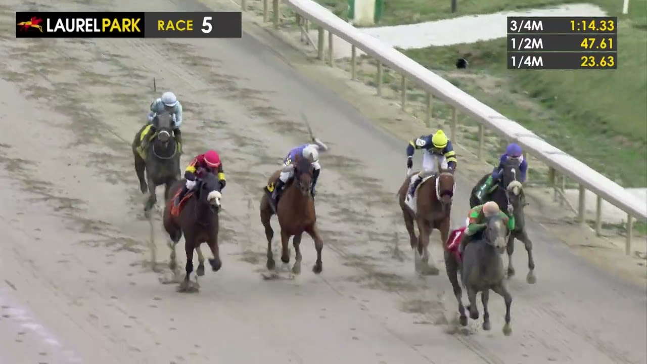 LAUREL PARK 2026-03-13 PL#99_REPLAY SHOW
