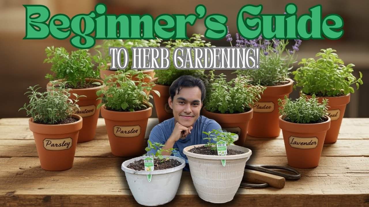 Beginner's Guide to Herb Gardening!🌿S:3, Ep.46//The Ultimate Gardener