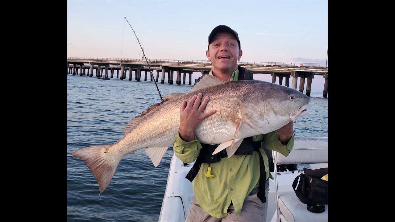 HUGE Red Drum on the Chesapeake Bay - Non-stop ACTION!