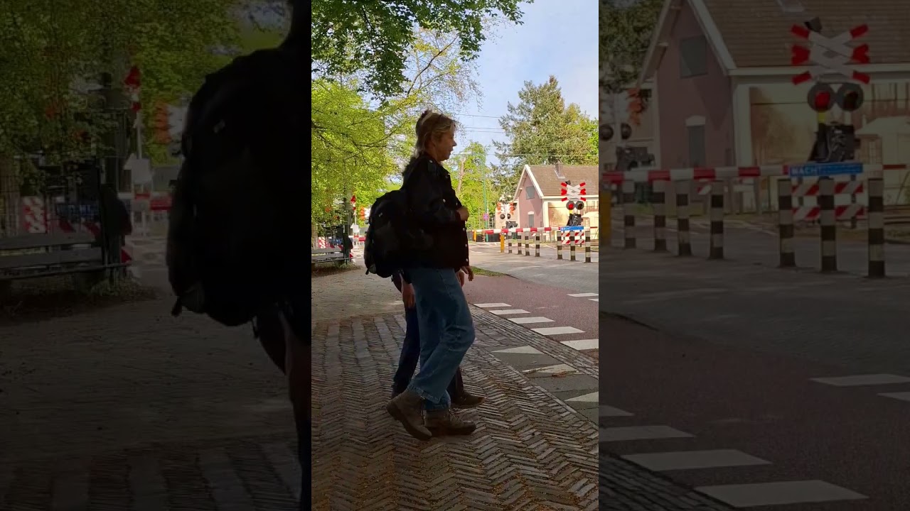 Spoorwegovergang Baarn - DUTCHRAILWAYS 