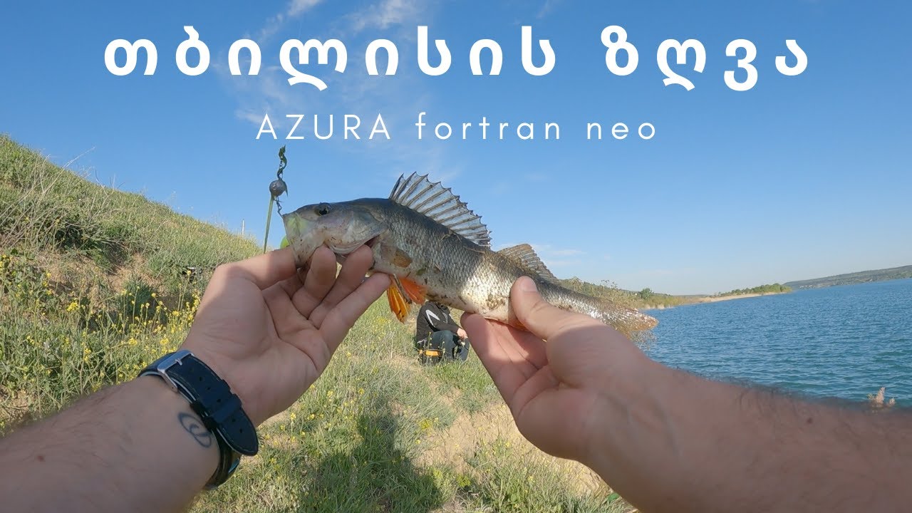 სპინინგით თევზაობა თბილისის ზღვაზე - პასიური ქორჭილა