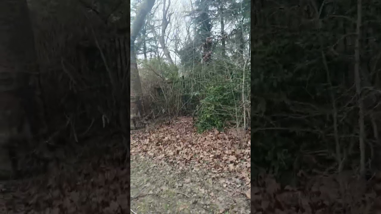 Ceux qui défendent de grandes causes 🤣