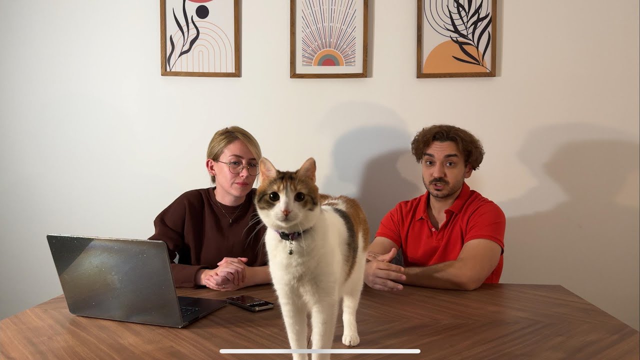 Almanca sınavını geçtim ama neden konuşamıyorum???