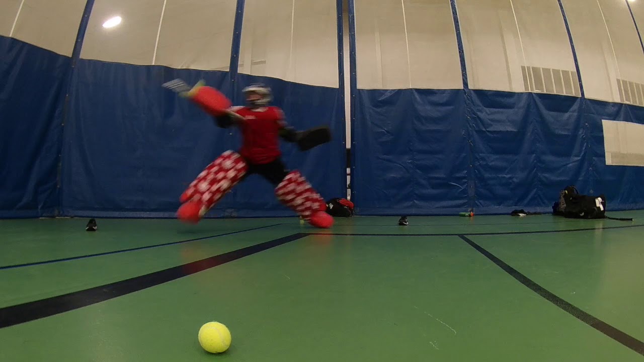 Indoor Goalie Training