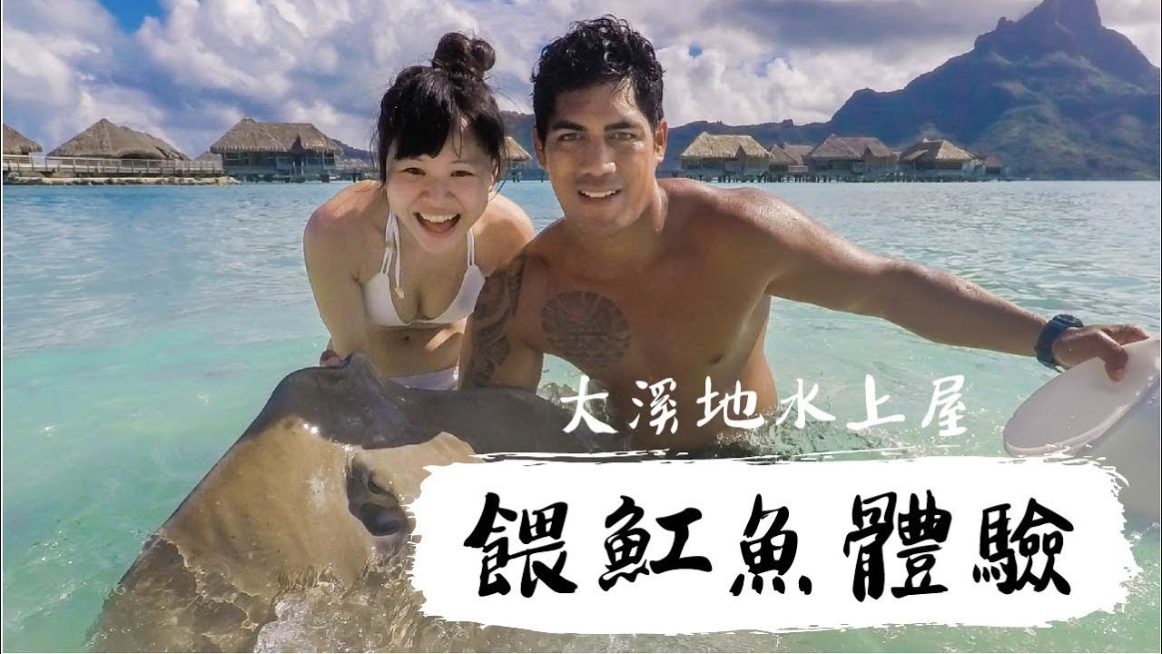 大溪地｜空拍機突然故障！餵魟魚初體驗｜豬豬隊友 Scott & Wendy