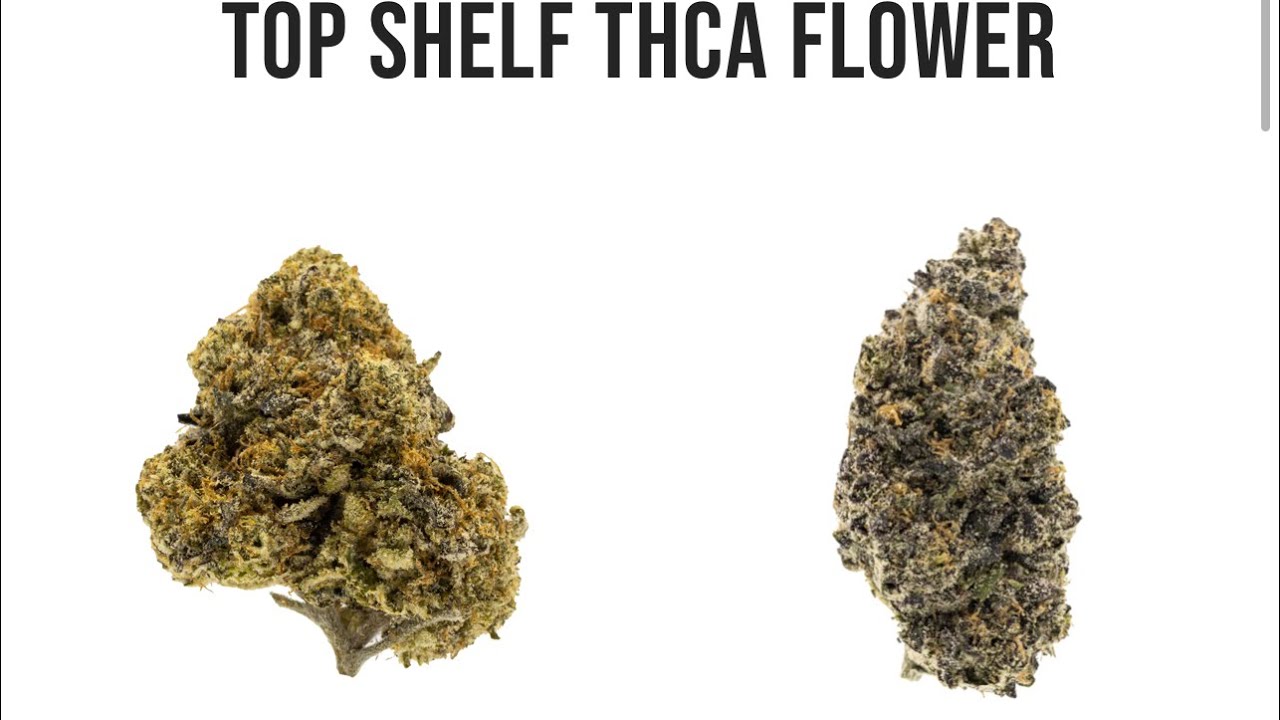 THCa &ldquo;Cereal Milk&rdquo; Review ​@perfectplant2056