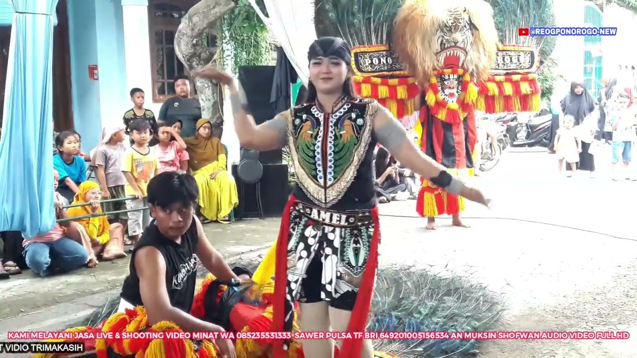 ORA DLOMOK TARI DADAK MERAK REOG SINGO BAKTI MUDO LIVE DESA BUDUG KWADUNGAN NGAWI TG 09 02 2026