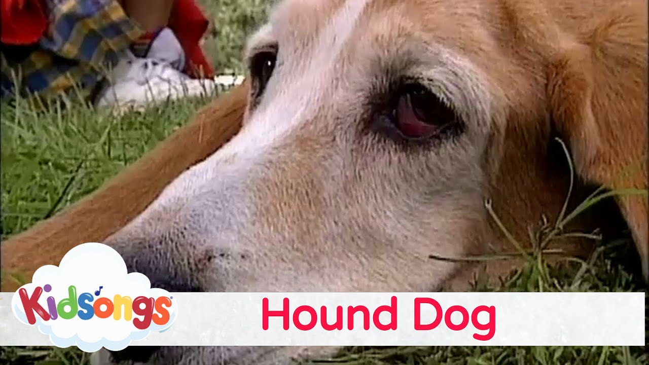 Kidsongs - Hound Dog