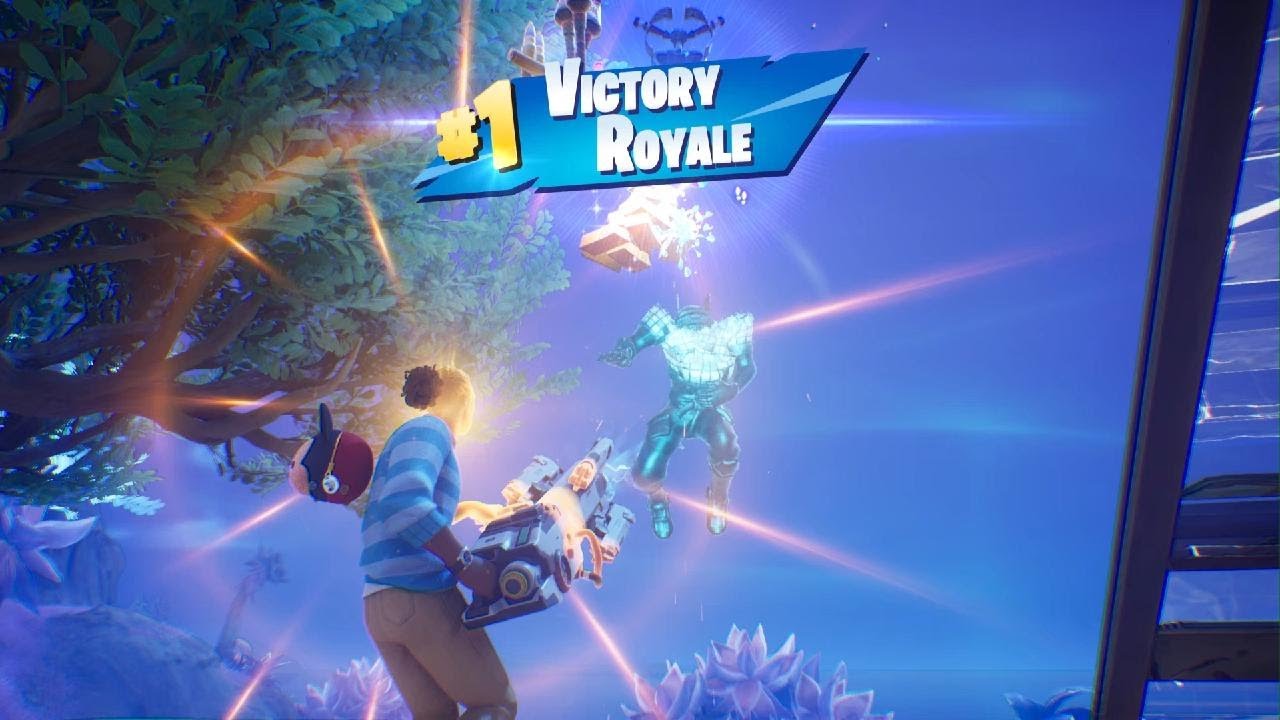 Fortnite Victory Royale w/ Cat