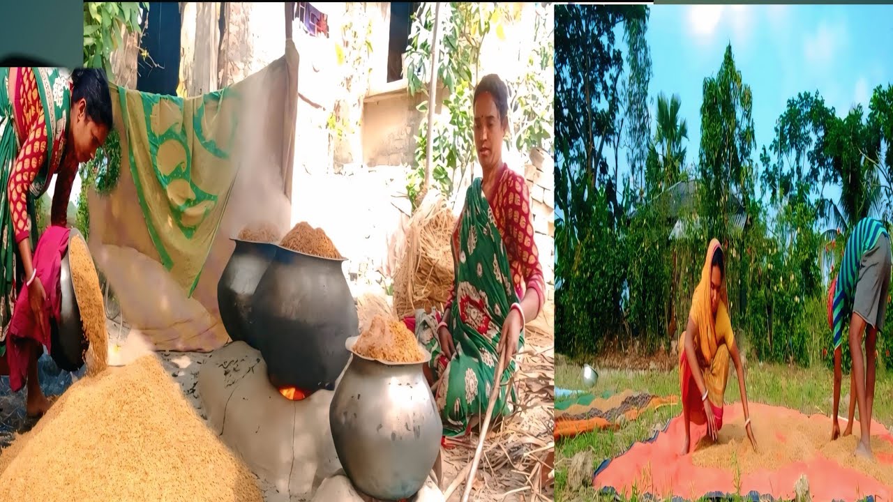 সারা বছরের চাল তৈরীর জন্য বাড়িতে ধান সিদ্ধ করলাম 🍚🍚#ধান সিদ্ধ  #villagelife 