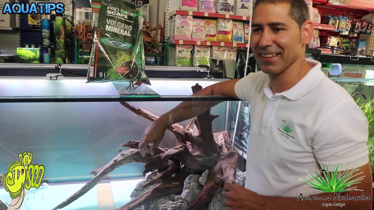Montaje 720L aquascaping, Acuarios Naturales en Don Disco #1 || AquaTips