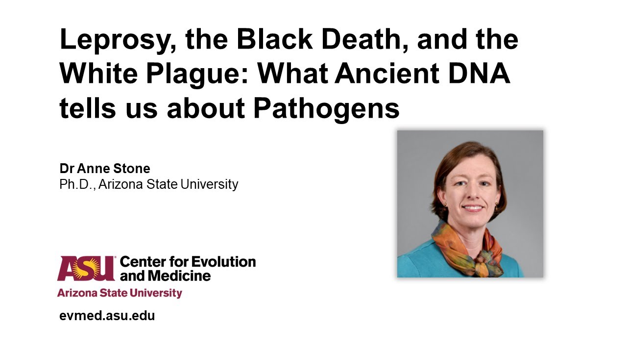 Dr Anne Stone-Leprosy, the Black Death, & the White Plague-What Ancient DNA tells us about Pathogens