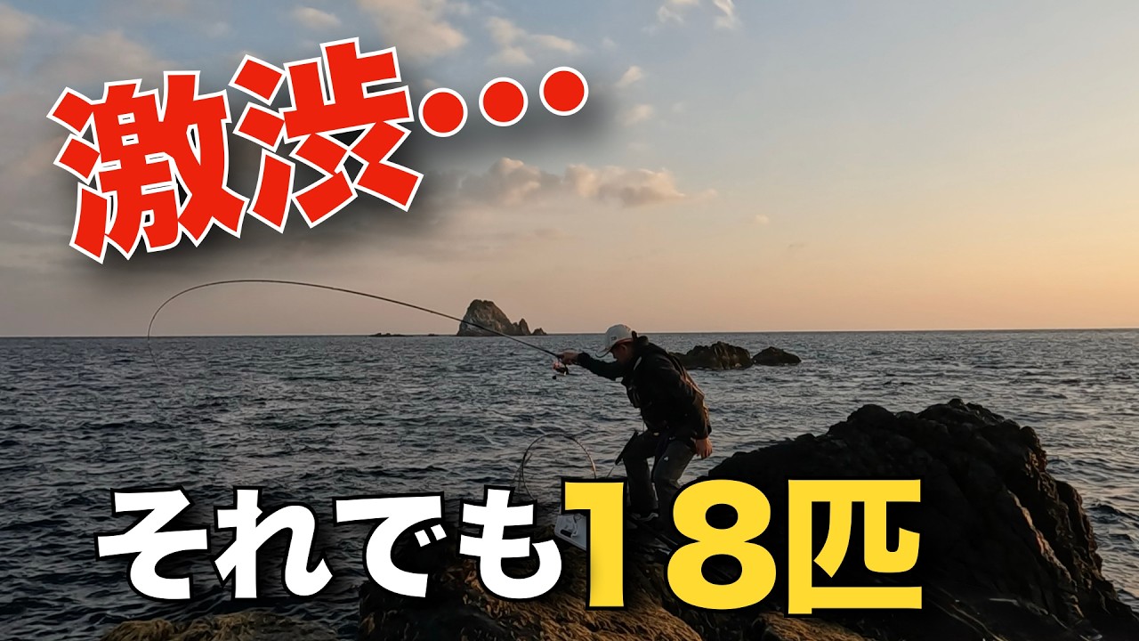 激渋から入れ食いになるまでを、すべてお見せします
