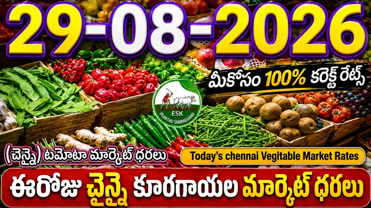 08/29/2026 Today's Chennai Koyambedu Market Vegetable Prices #all