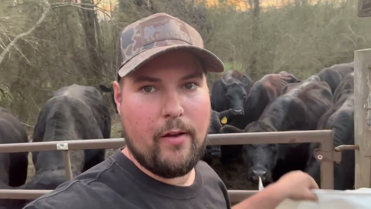 From Shipping Headaches to Feeding Cows | A Real Day at the Nursery