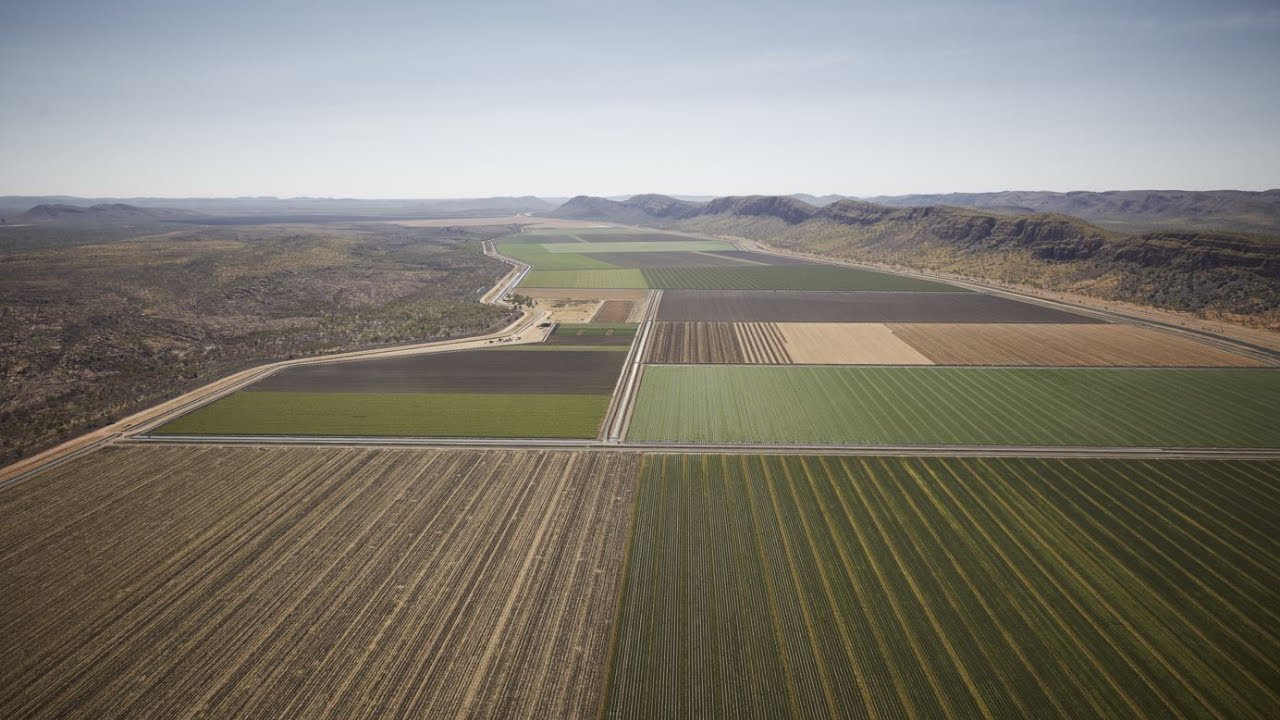 Kununurra Farm - Our Story