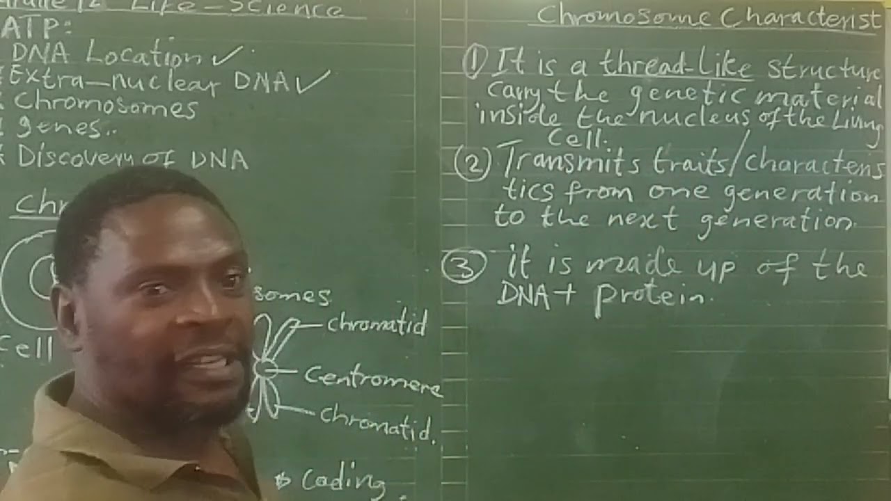 “Chromosome Structure & Function (Fully Annotated) | Grade 12 Life Sciences South Africa CAPS”