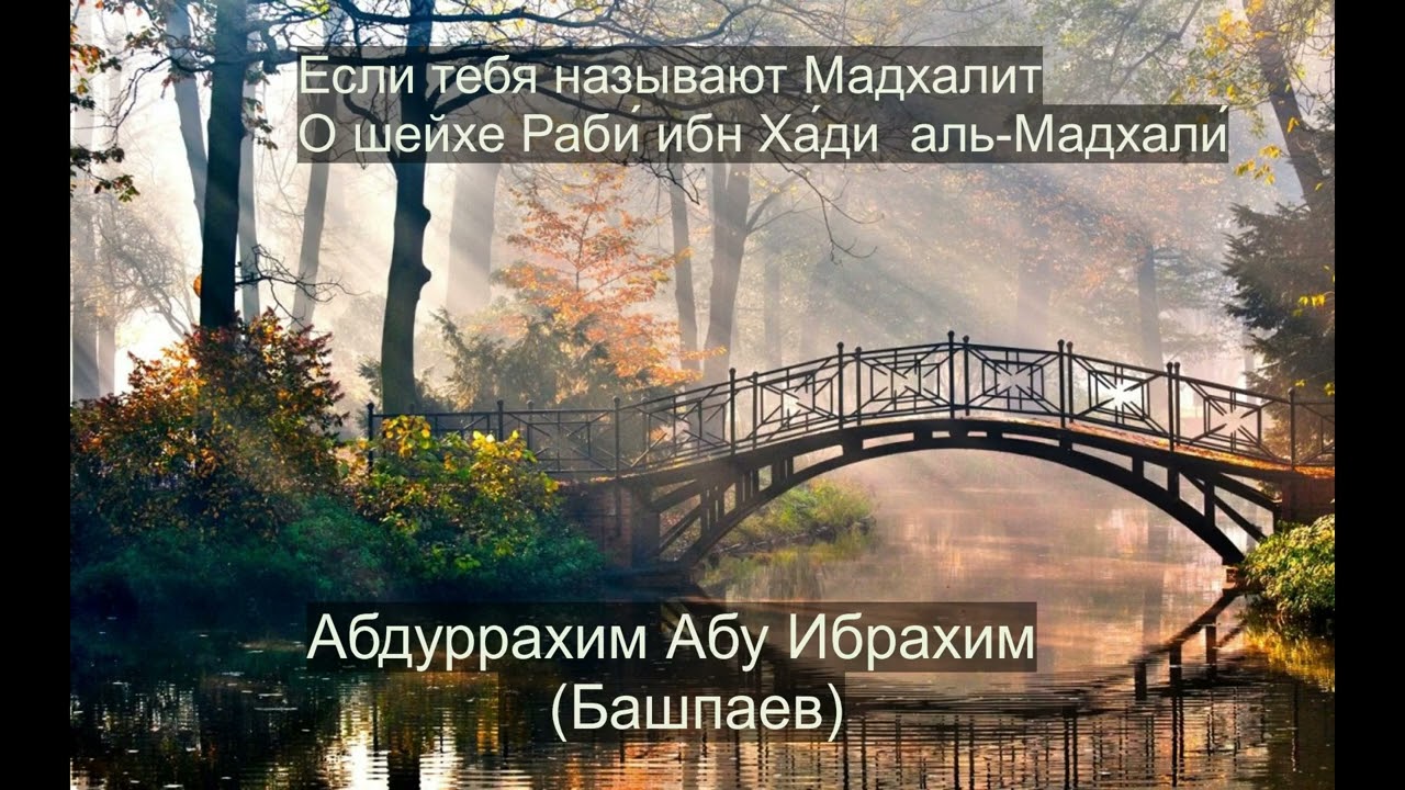Если тебя называют Мадхалитом. Абдуррахим Абу Ибрахим (Башпаев) о шейхе Раби́ ибн Ха́ди  аль-Мадхали