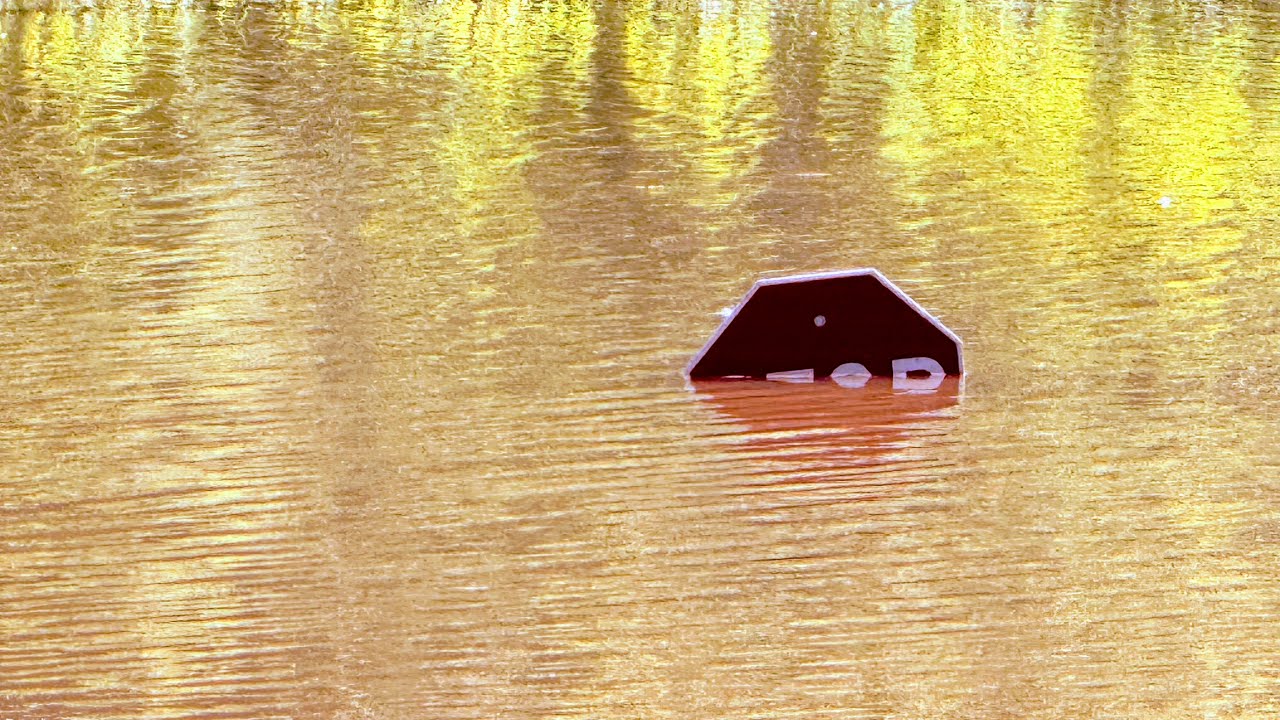 Flood Check