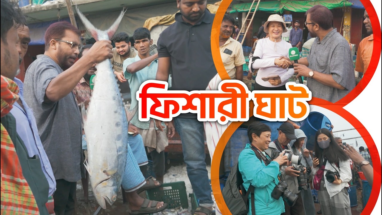 ফিশারী ঘাট | Fishery Ghat | পাইকারী মাছের আড়ৎ | Fish & Fishing | Krishi Vlog | Channel Krishi