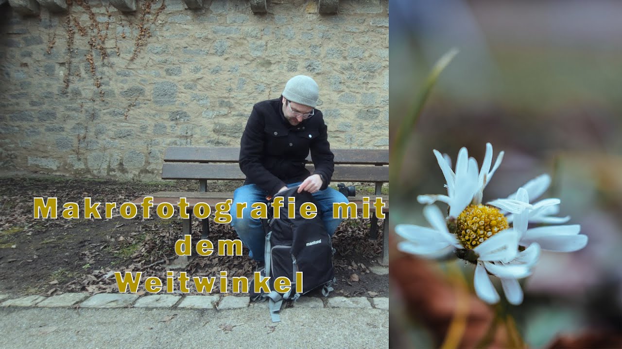 Makrofotografie läuft nicht wie geplant! Weitwinkel! Fotografieren lernen