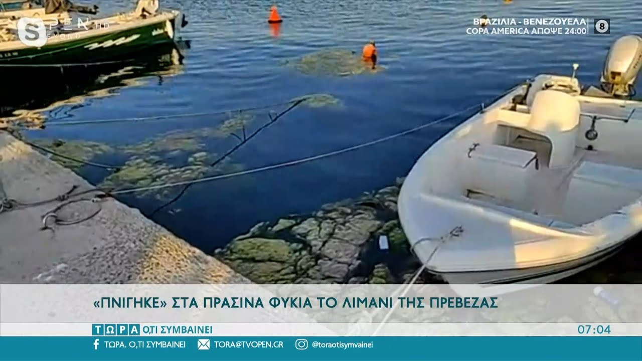 «Πνίγηκε» στα πράσινα φύκια το λιμάνι της Πρέβεζας | Τώρα ό,τι συμβαίνει 13/6/2021 | OPEN TV
