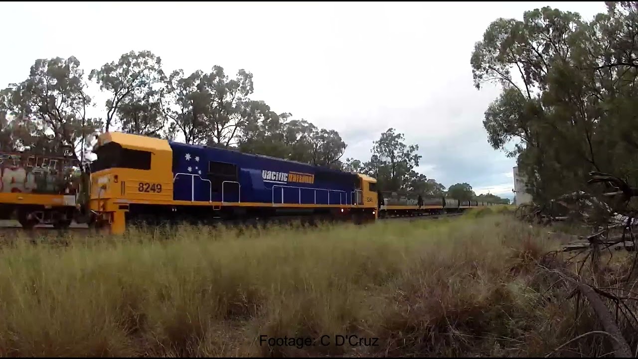 Springridge 02032026