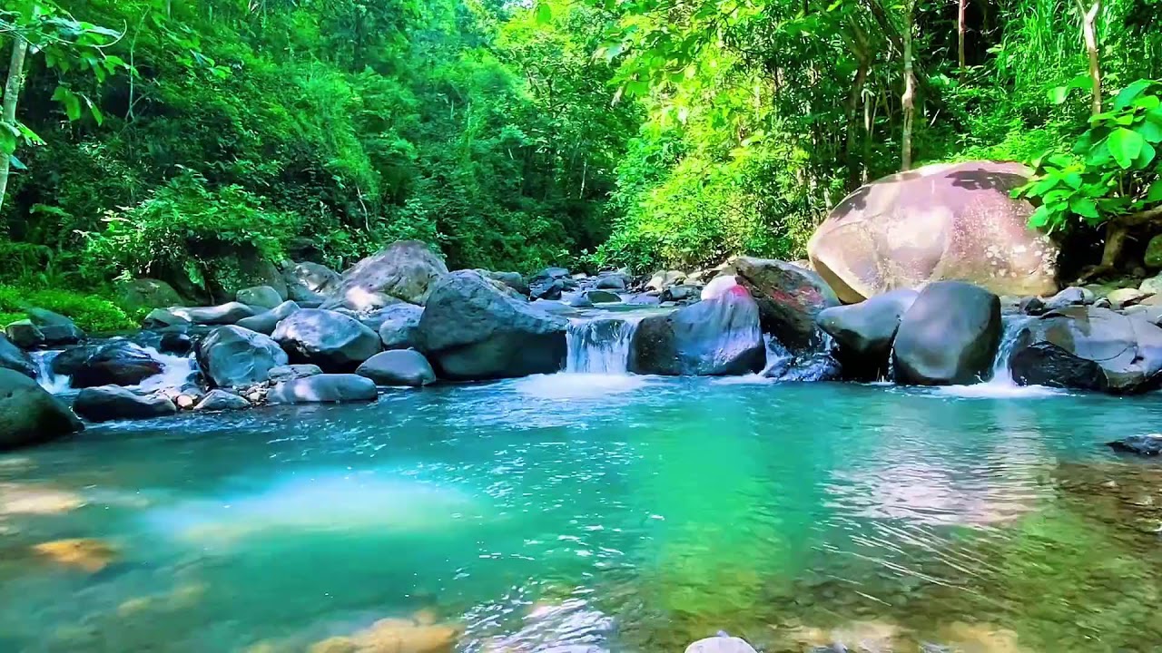 Flowing Water Stream Audio, Mountain River, Forest Sleep