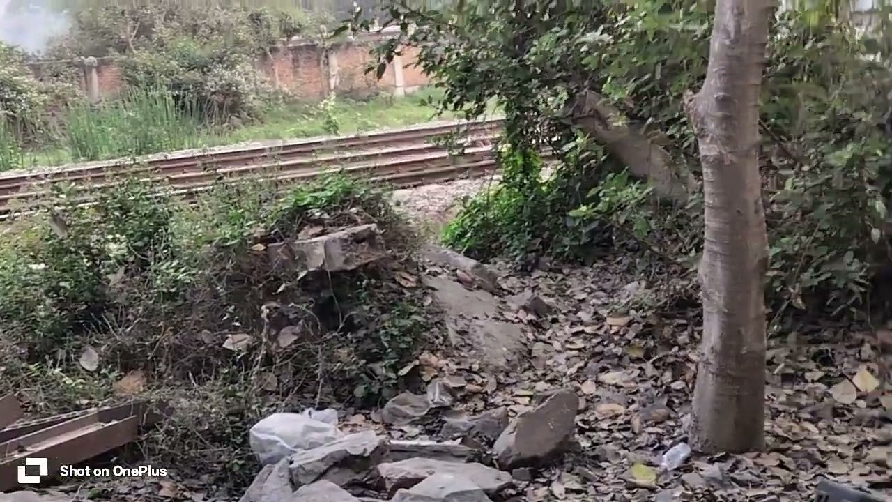 The New video train please like and subscribe to my channel and comment also guys 🚉🚊