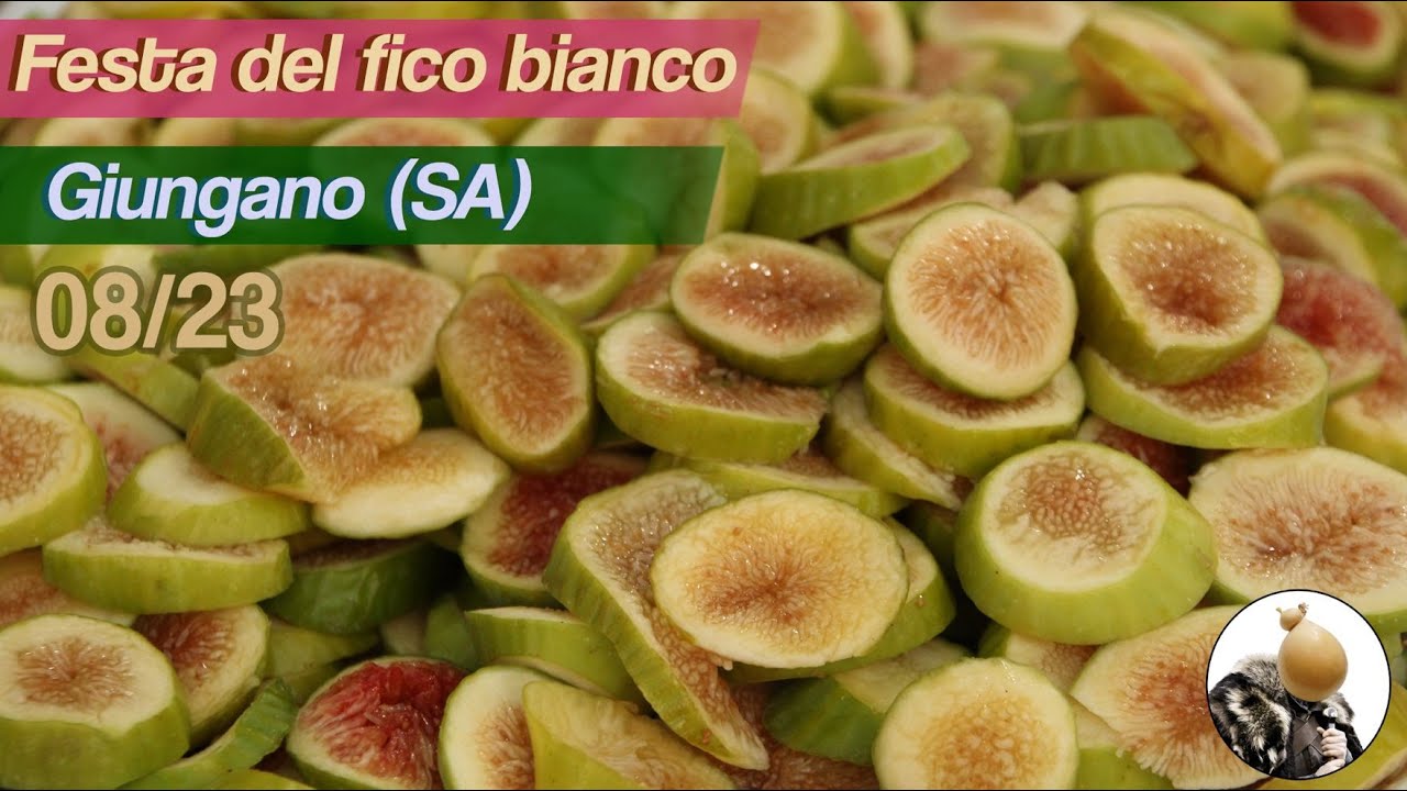FESTA del FICO BIANCO, il VANTO di GIUNGANO (SA) in un MENU da CAPOGIRO!