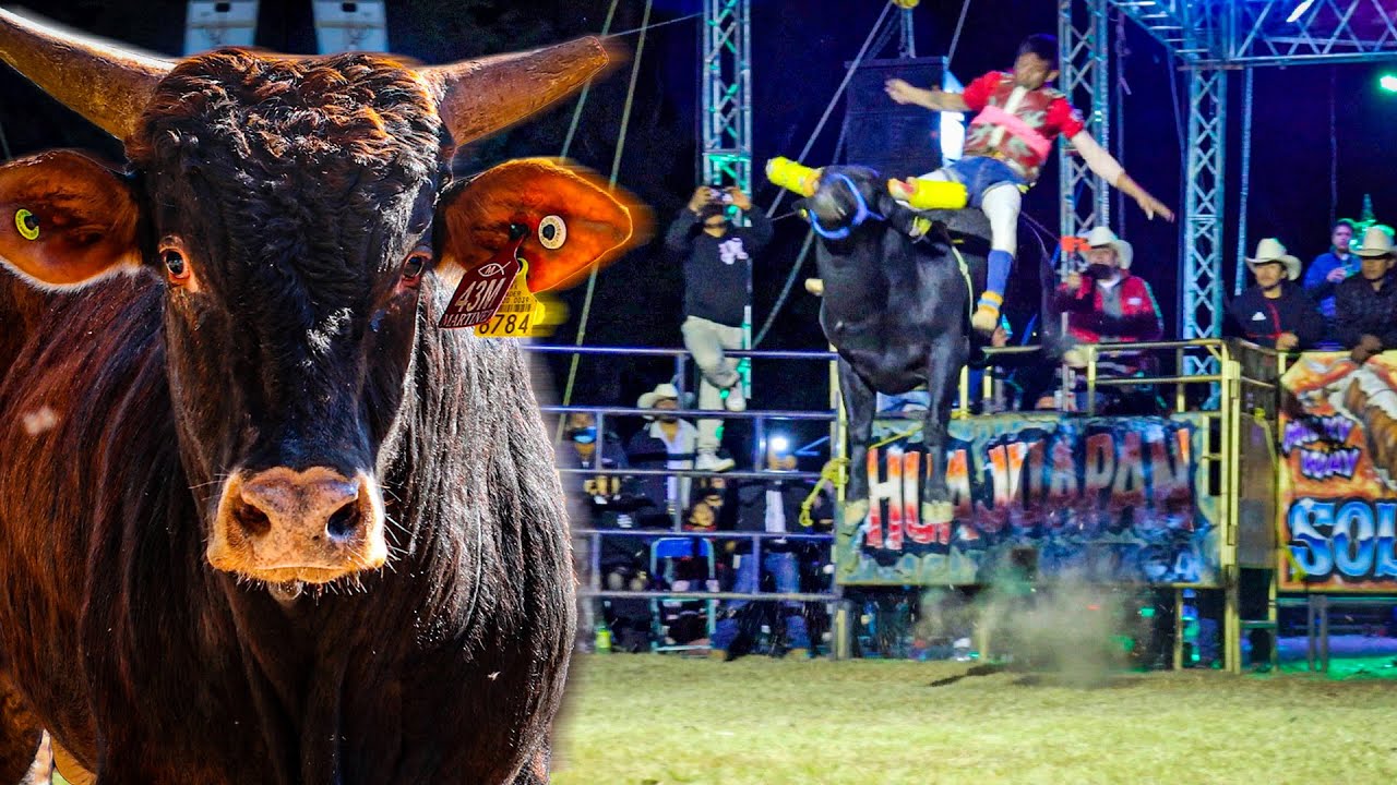 !!Plaza Llena Para Ver A Los Toros Solisitados!! | Debut de 2 Ejemplares En Yetla de Juarez,Oax-2026