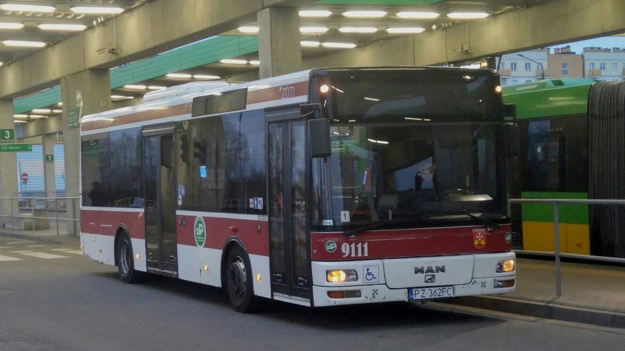 ZKP Suchy Las - linia 903 | MAN NM223.2