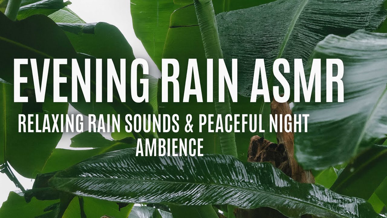 Evening Rain ASMR for Deep Sleep | Relaxing Rain Sounds & Peaceful Night Ambience
