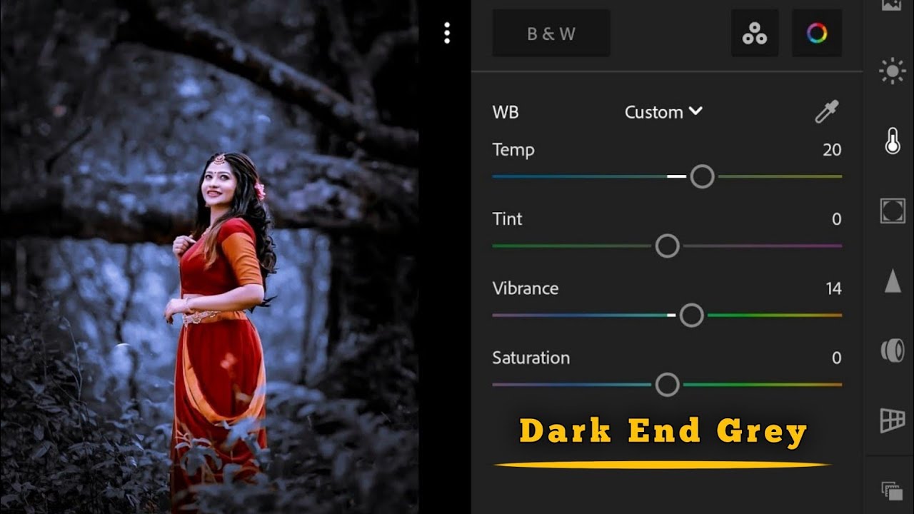 Dark End Grey Tone Lightroom Photo Editing 