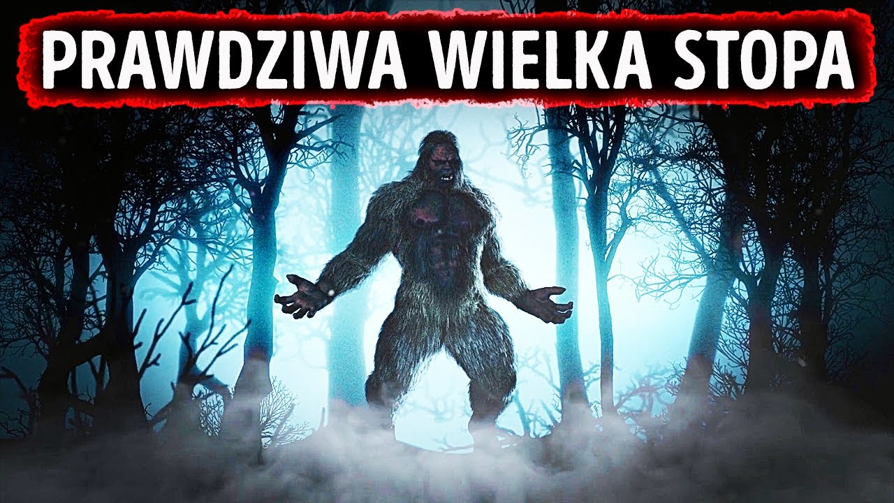 4 sensacyjne spotkania z Wielką Stopą || Czy w końcu znaleźliśmy dowód?