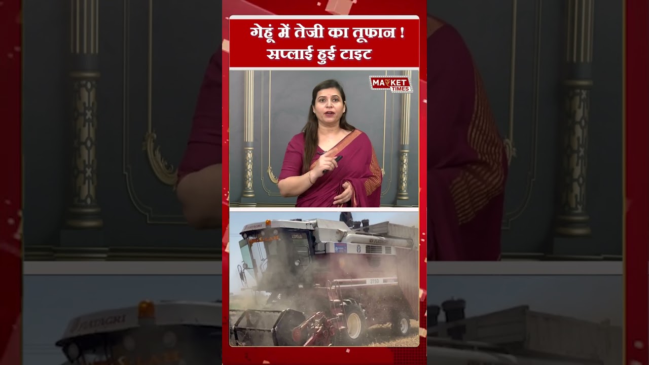गेहूं में तेजी का तूफान ! #wheat #gehu #grain #kisan #agriculture #farming  #export #MarketTimesTV