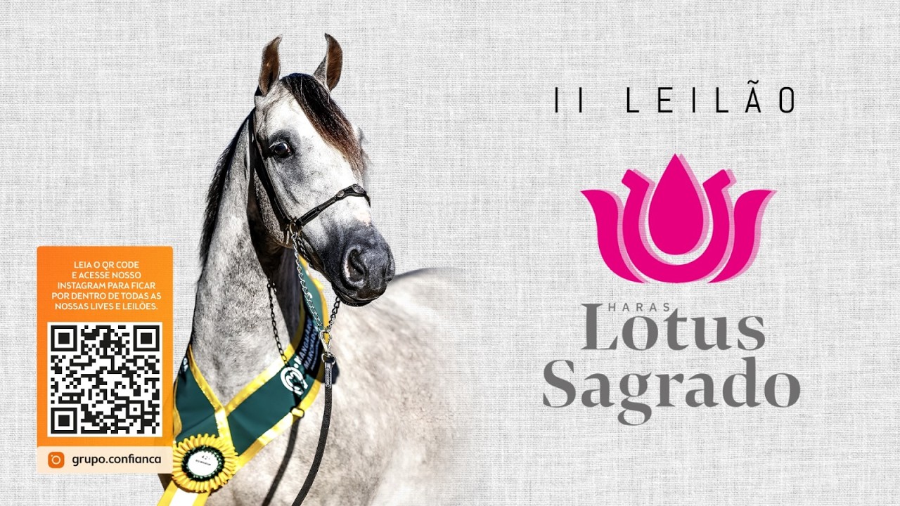 II Leilão Haras Lotus Sagrado