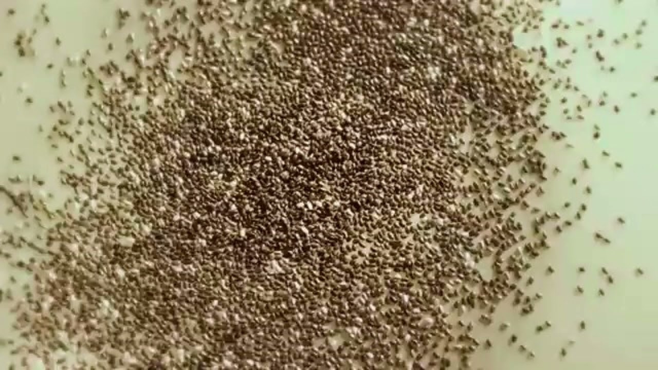 Crumb - The Bug [instrumental]