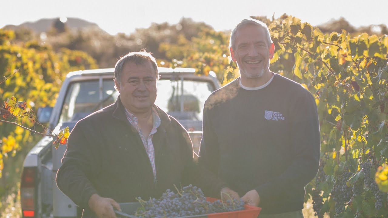 HARVEST 2025 - Oller del Mas