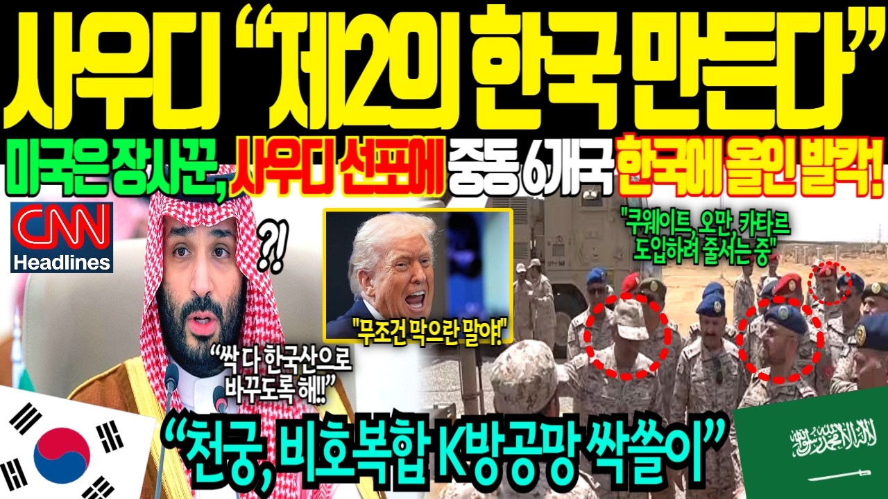 [해외감동사연] 미국도 못 만든 한국 대공포에 중동 6개국 &ldquo;제발 보내달라&rdquo; 애원, 60억 패트리어트 전량 폐기 후 한국산 선택하는 이유
