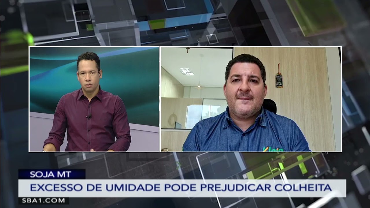 Excesso de umidade pode prejudicar a produtividade da soja no MT