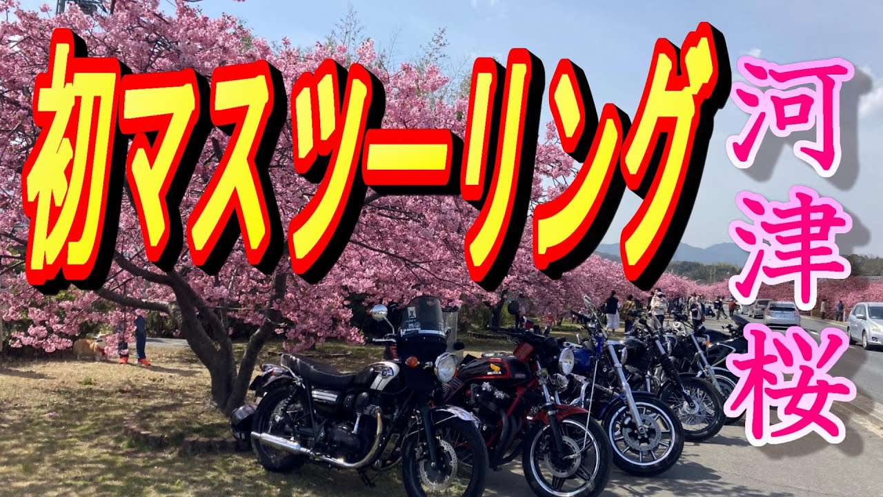 初マスツーリング②　河津桜の旅